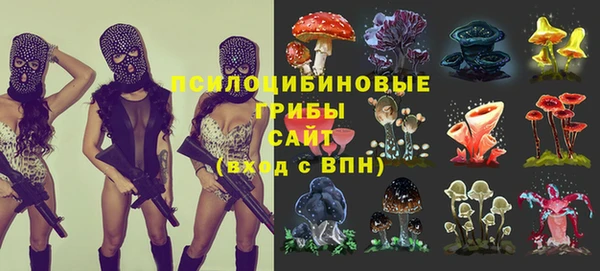 не бодяженный Зерноград