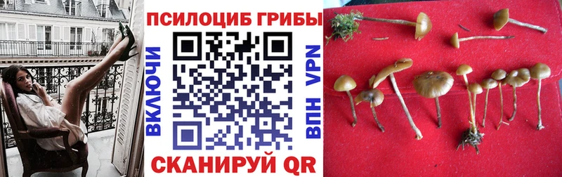 Псилоцибиновые грибы мухоморы  Купить  Верхний Уфалей 